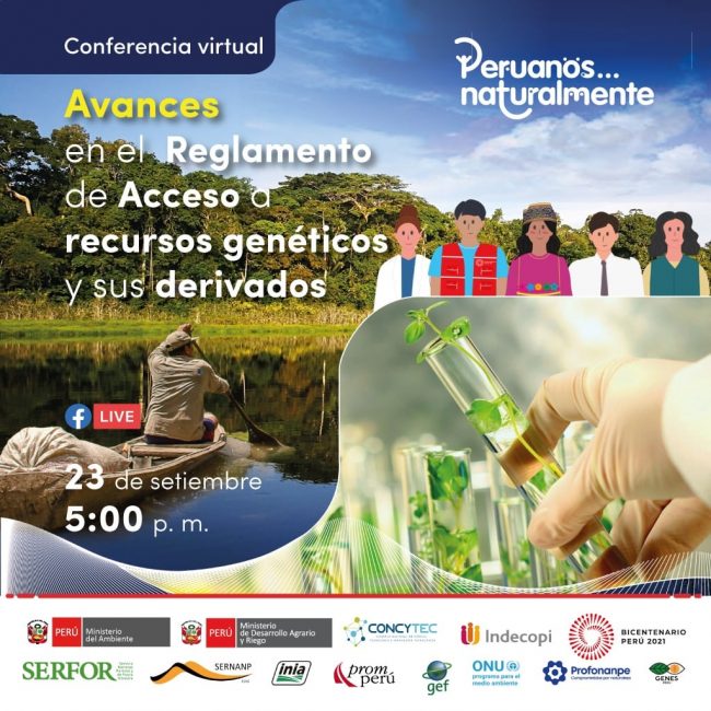evento minam