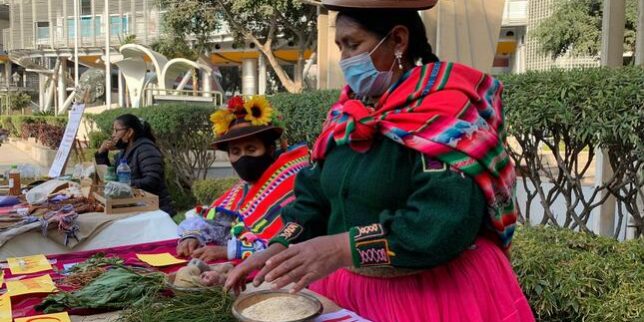 standard_WhatsApp Image