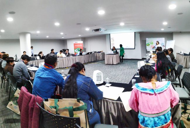 Taller Participativo_Lima